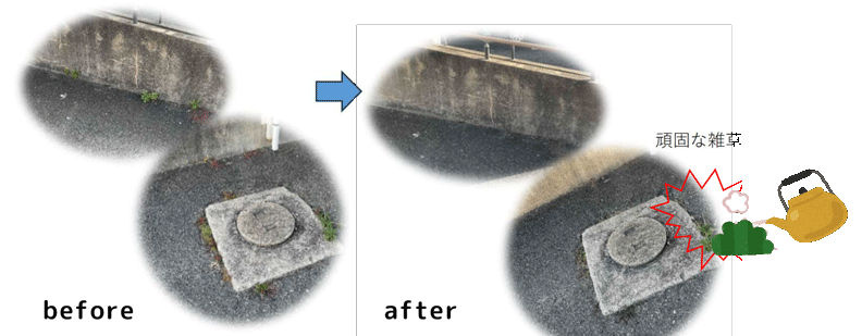 ビフォーアフター